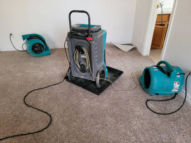 Best Commercial water damage restoration  in Dekal, IL