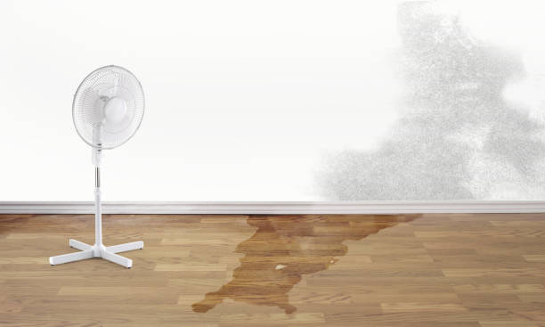 Best Residential water damage restoration  in Dekal, IL