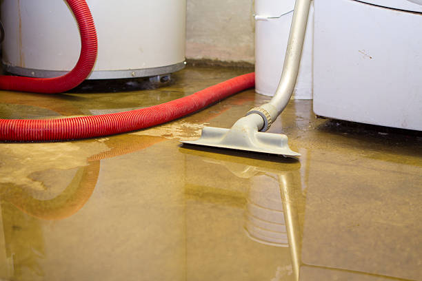 Best 24/7 water damage repair  in Dekal, IL