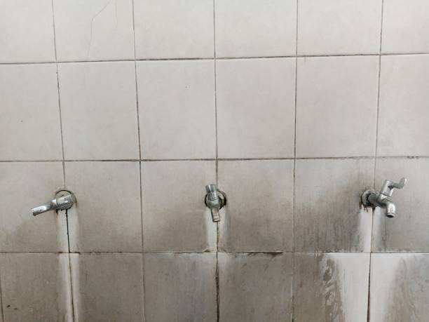 Best Water damage contractors near me  in Dekal, IL