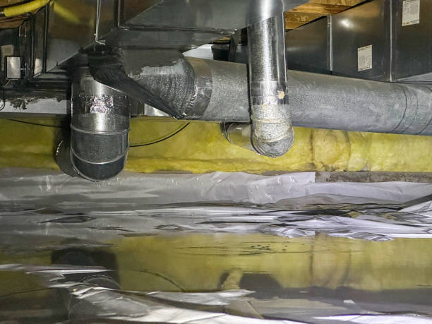 Best Flooded house restoration  in Dekal, IL