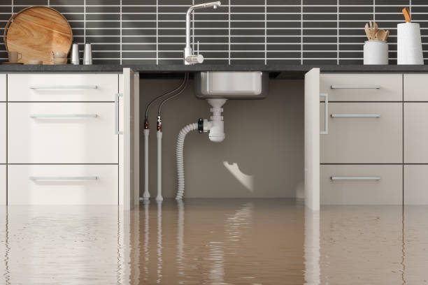 Best Ceiling water damage repair  in Dekal, IL