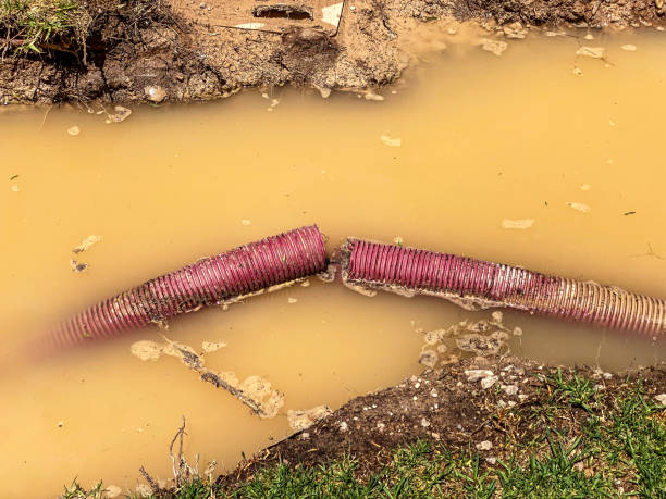 Best Water damage restoration near me  in Dekal, IL